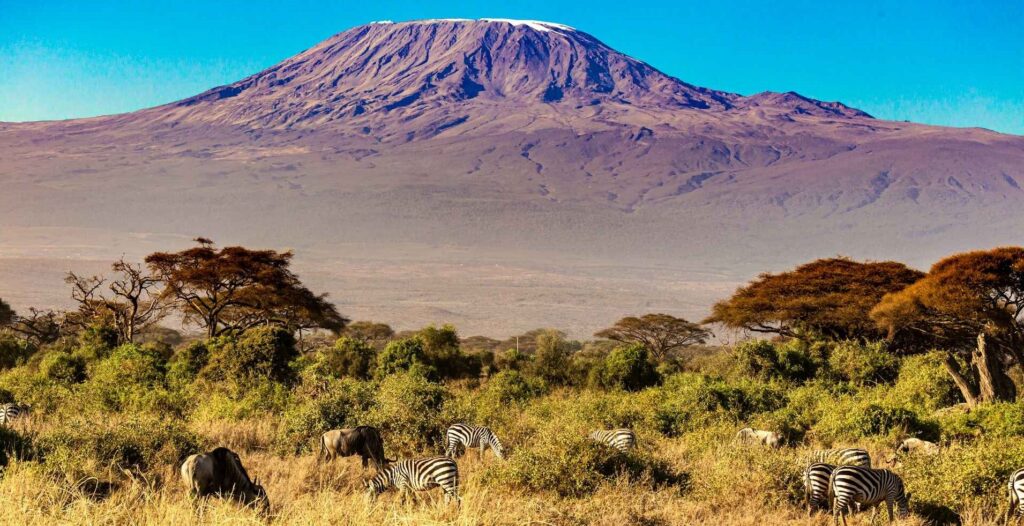 Amboseli